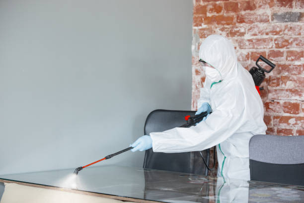 Best Mold Odor Removal Services in Long Lake, MN